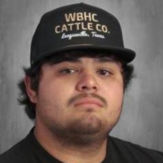 JoseFlores's Profile Photo