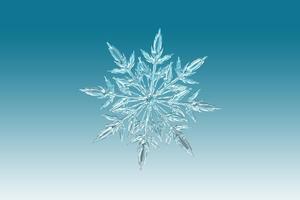 snowflake on icy blue backgrounds
