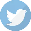 Twitter icon