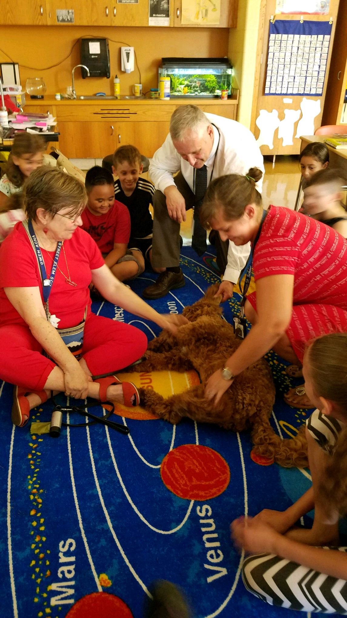 Jackson the dog lies on the ground. Students and teachers surround Jackson.