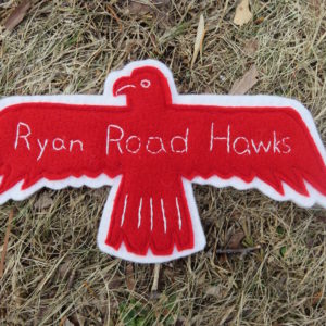 What the Hawk Saw at Ryan Road!