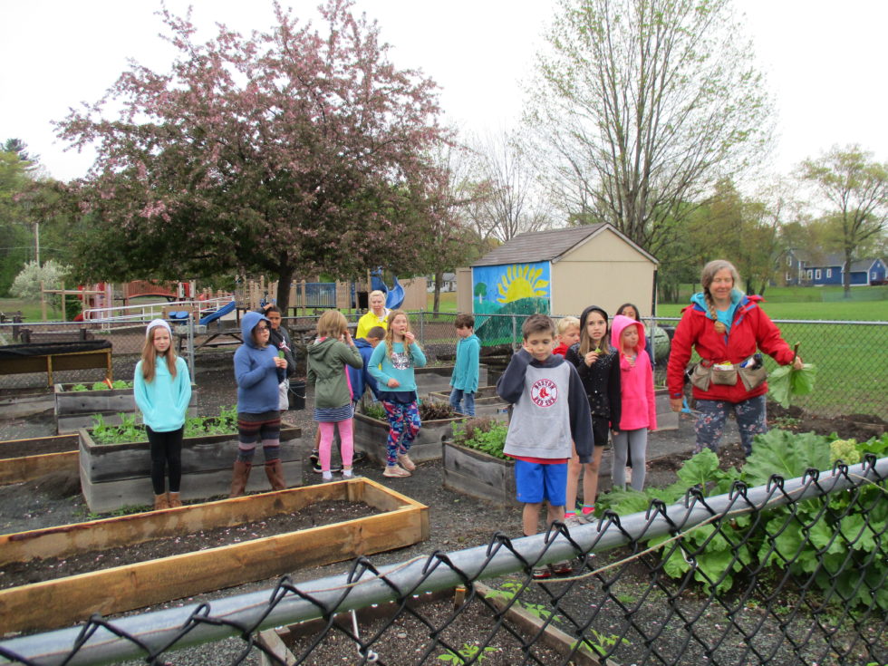 Principal Madden’s Weekly Update—Week of May 20