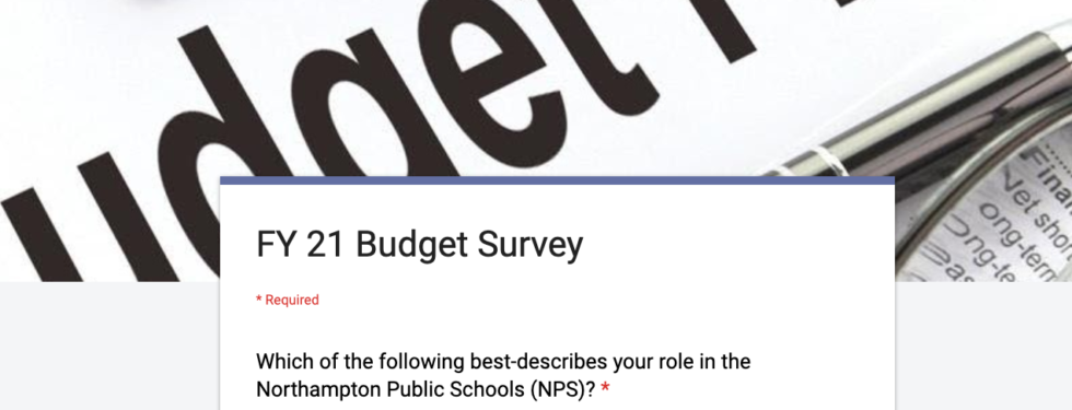 2021 Budget Survey