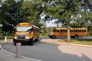 photo of buses