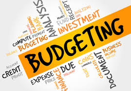 http://www.cfoladder.com/service/budgeting-planning/