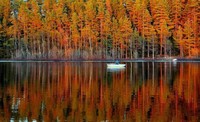 Autumn Lake