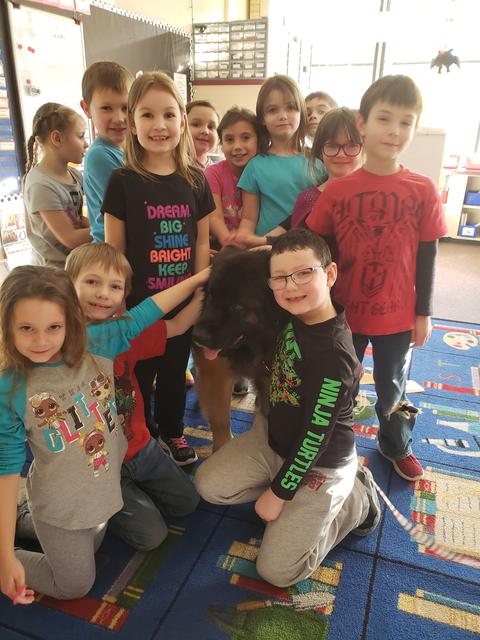 Community Gallery - Photo 13