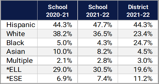 Castleview ES Demographics