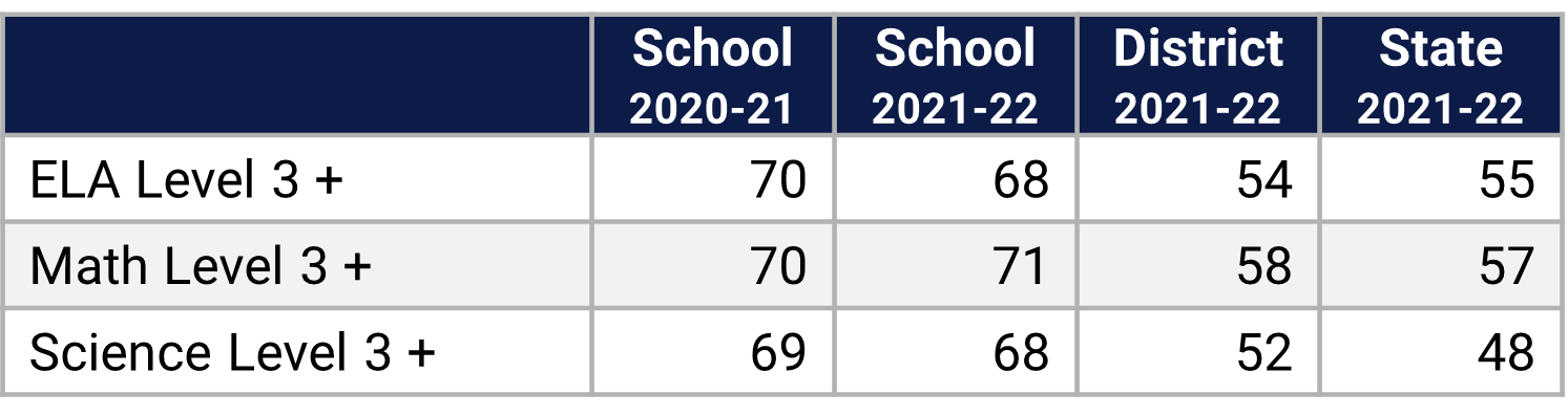 Castleview ES Florida Statewide Assessment Data