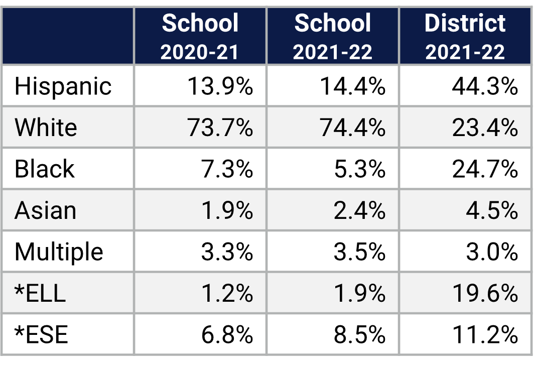 Dommerich ES Demographics