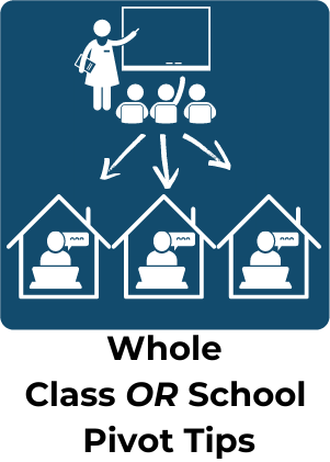 Whole Class Pivot Tips