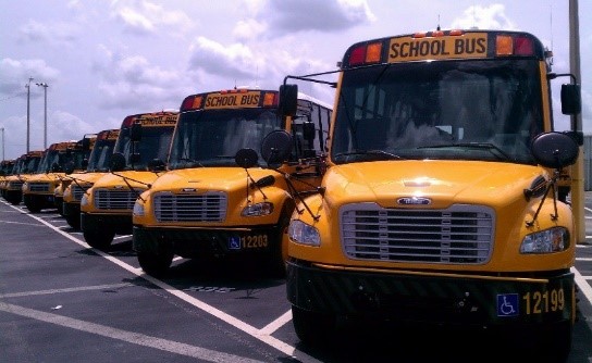 image of row of school buses