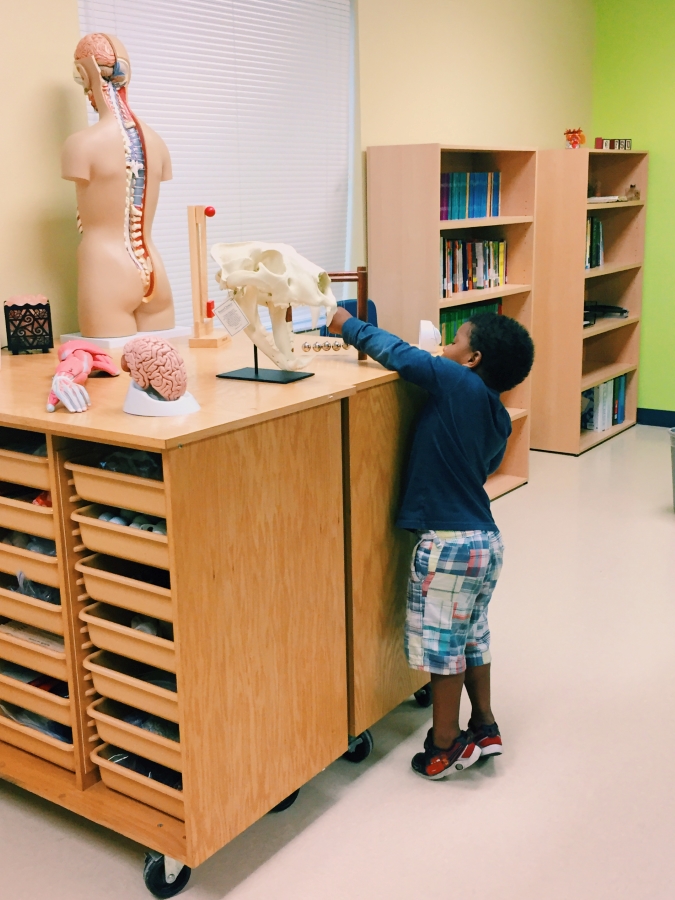 Child playing at Rock Lake ES Sneak Peek