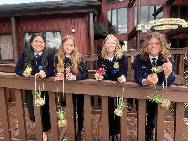 Four students hold succulent plants