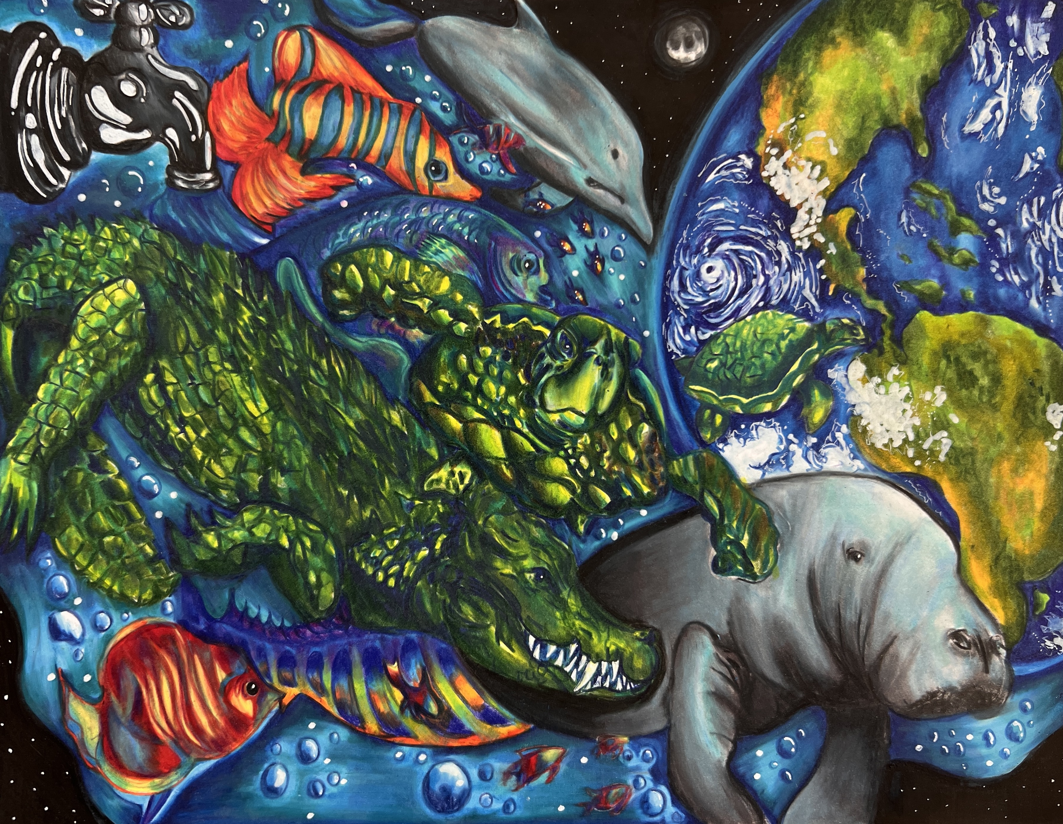 artwork of fish, manatee and aligator