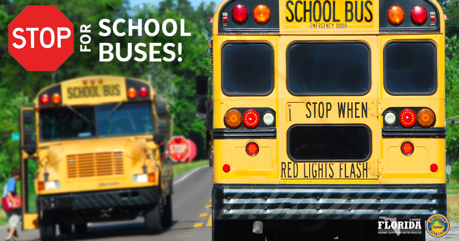 STOP for School Buses! Two Yellow School Buses with Stop signs displayed.