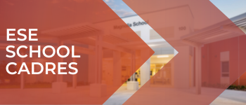ESE Cadres