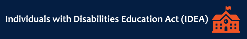 IDEA Banner IDEA Banner