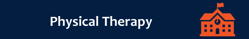 Physical Therapy Banner Physical Therapy Banner