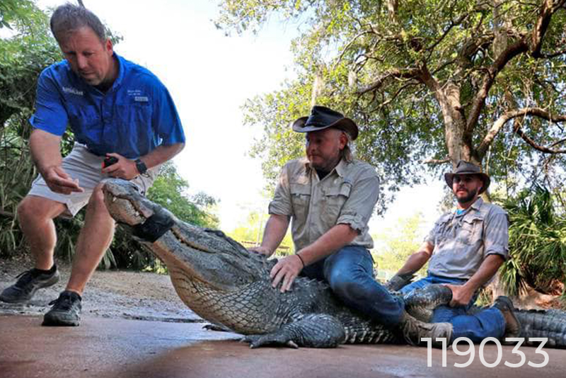 December's A Funny Thing Happened 