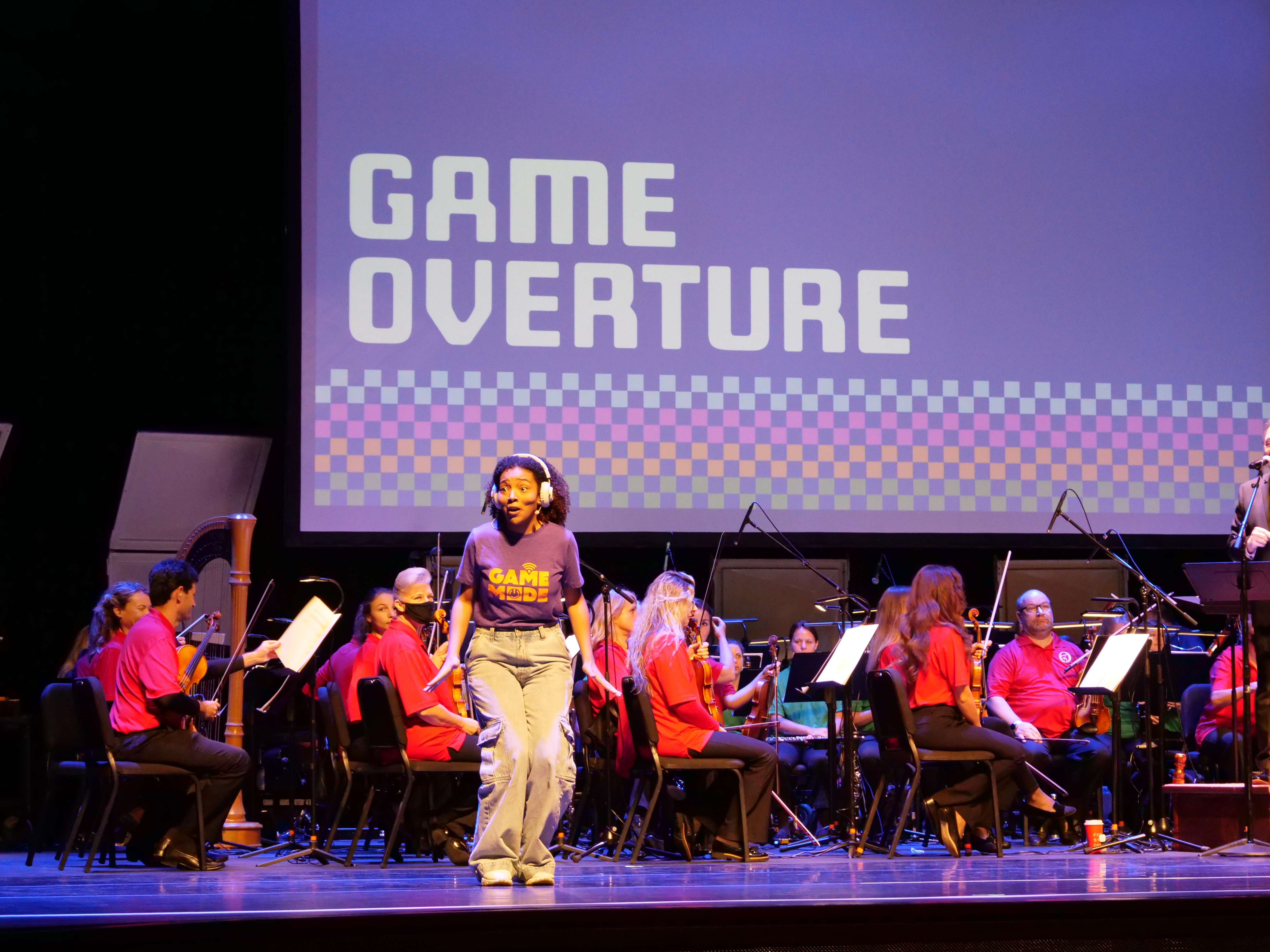 Orchestral Performance Image