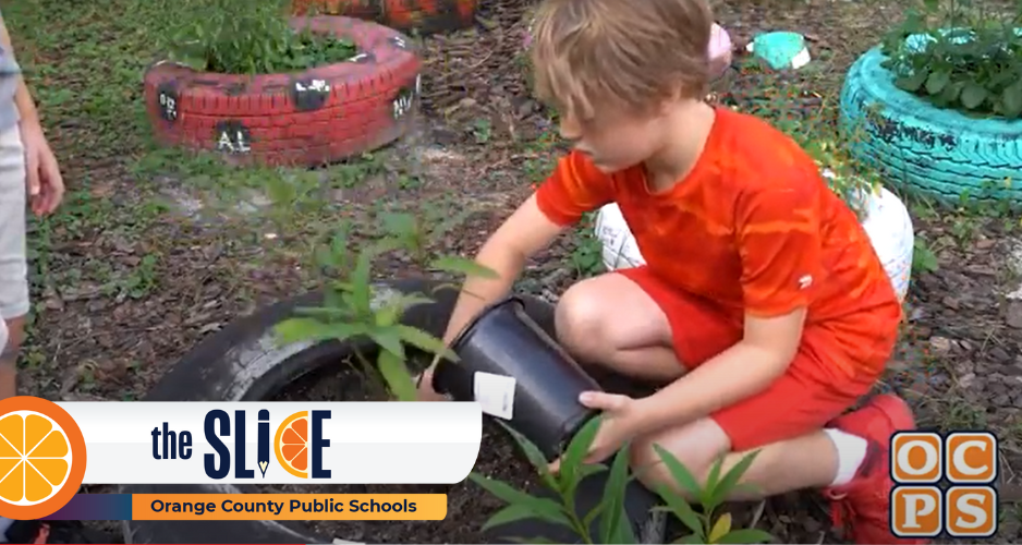 young male student puts plant in ground