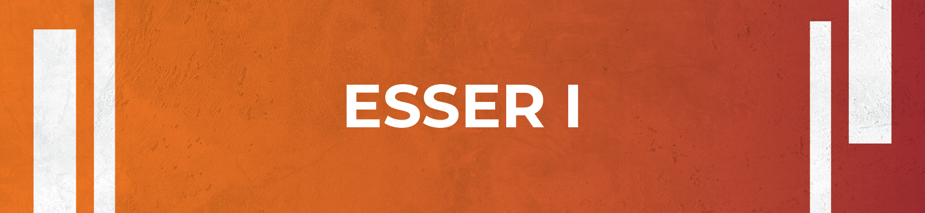 ESSER I Banner ESSER I Banner