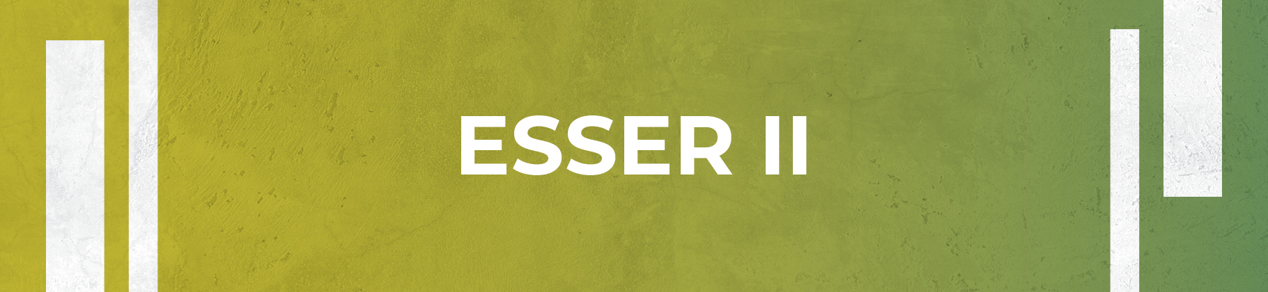 ESSER II Banner ESSER II Banner