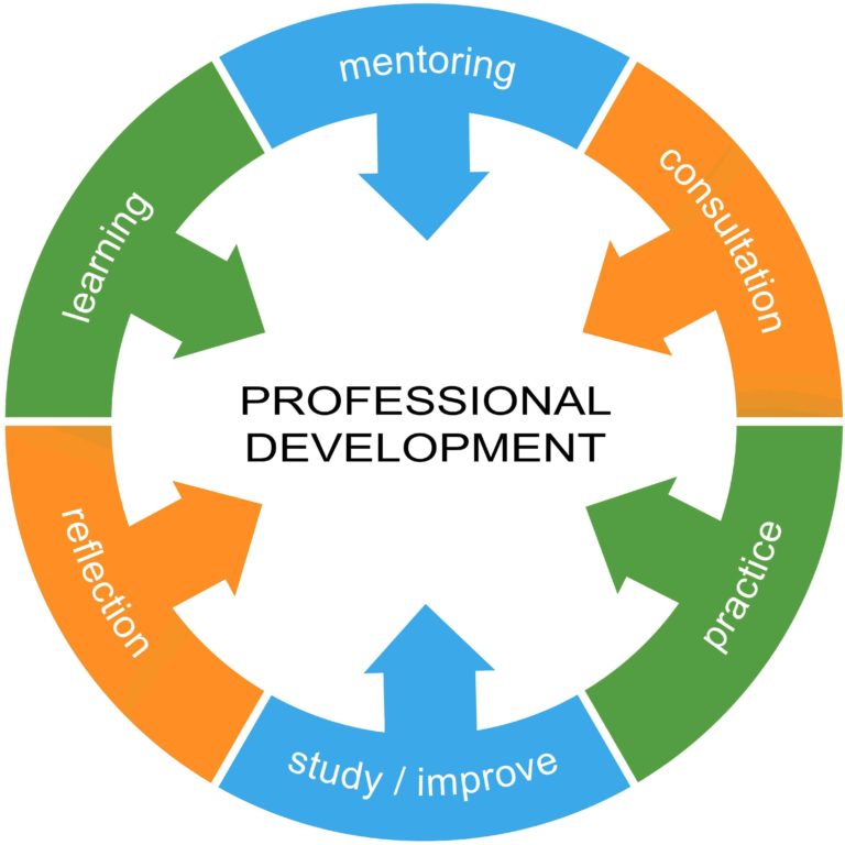 3 Critical Components of an Effective Professional Development Plan - Brite  Academy