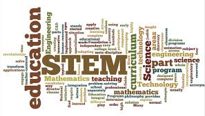 STEM 