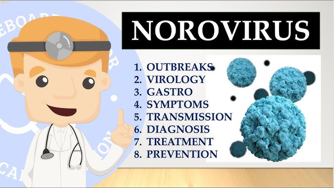 Letter about the Norovirus 
