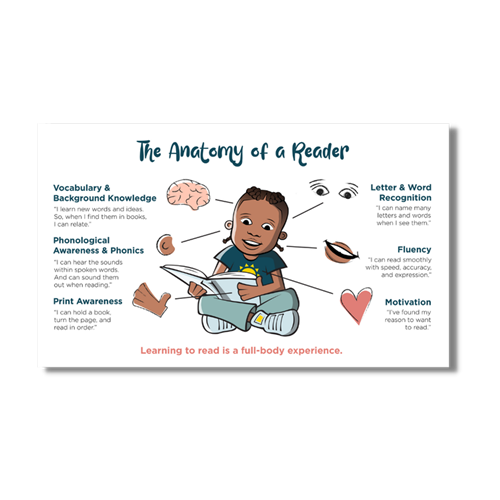 The Anatomy of a Reader