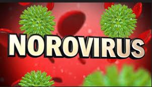 Noravirus Update