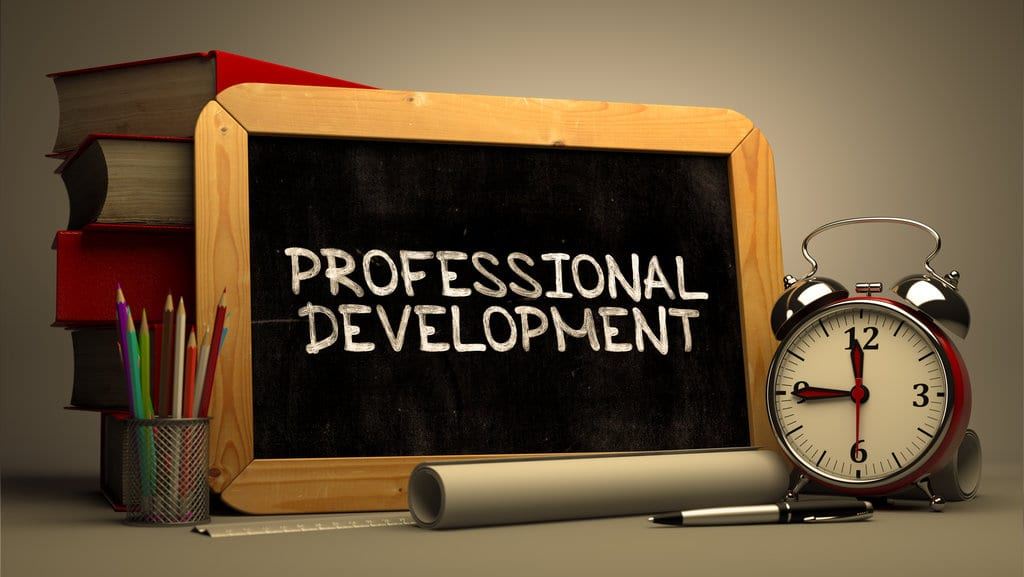 Professional Development Plan 2024-2025
