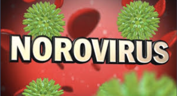  Noravirus Update