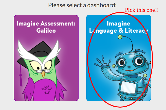 Imagine Language and Literacy