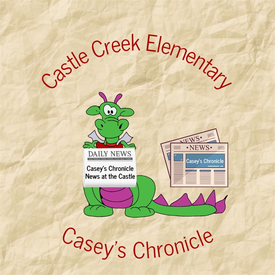 Casey's Chronicle