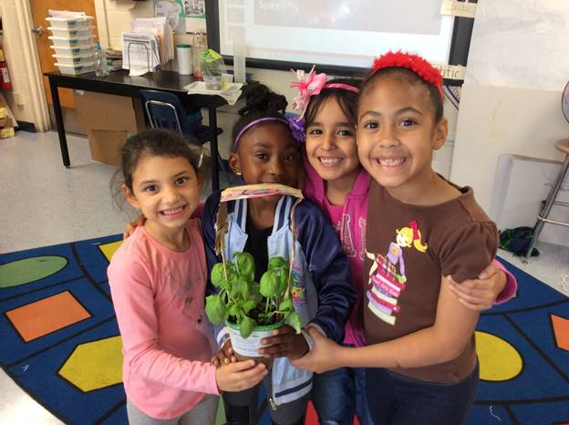 Students Designing plant packages to go to space Students Designing plant packages to go to space