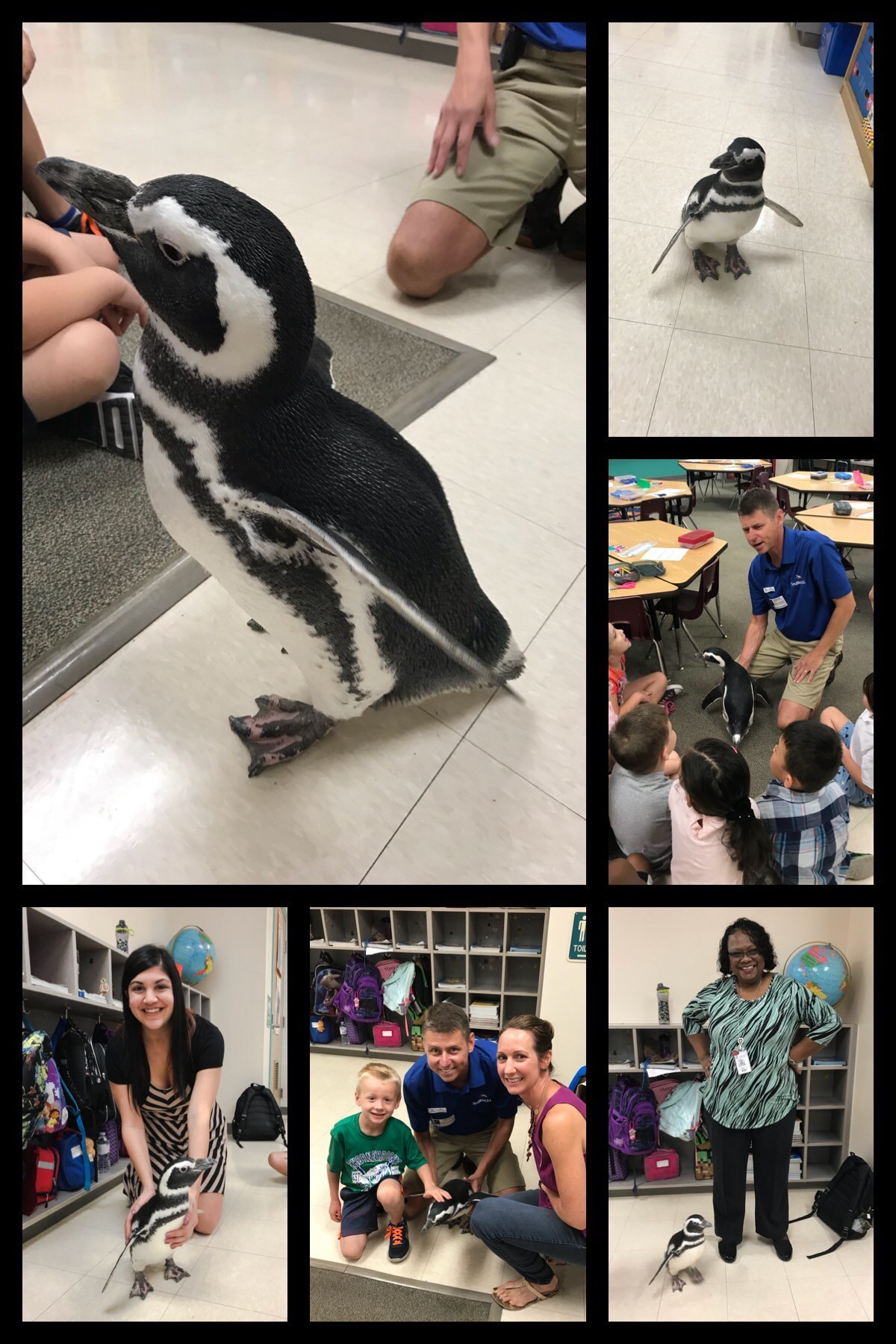collage of pictures of penguins and students