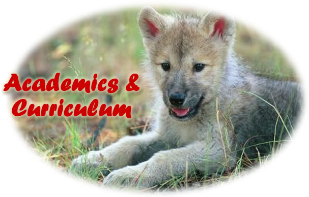 wolf pup with academic and curriculum text written on it wolf pup with academic and curriculum text written on it