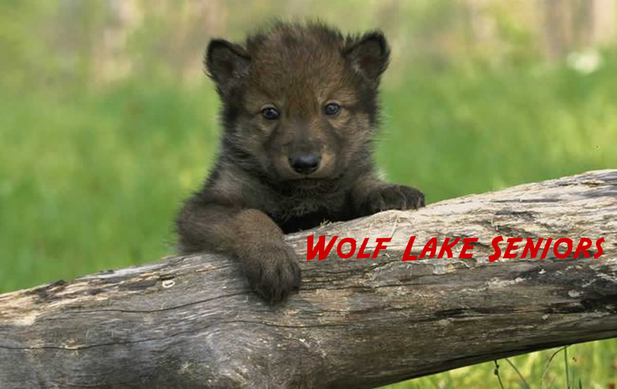 Wolf Lake Seniors