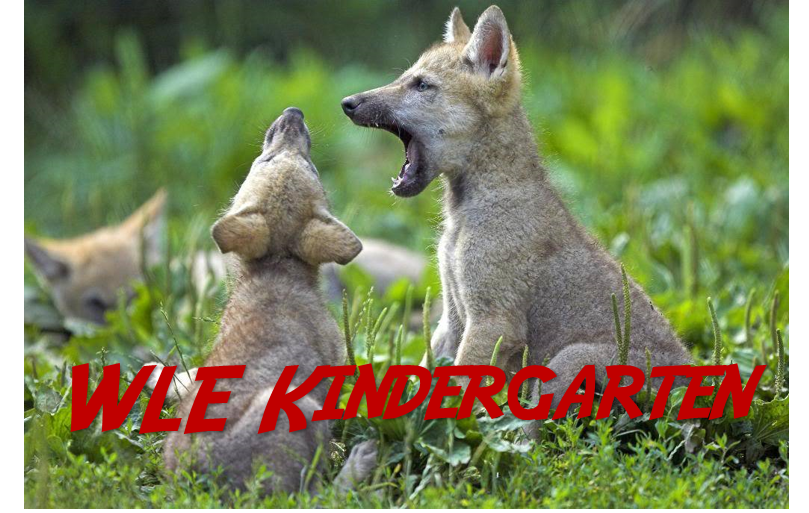 Wolf pups with text Wolf Lake Elementary Kindergarten Wolf pups with text Wolf Lake Elementary Kindergarten
