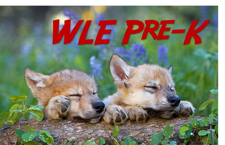 Wolf Lake Elementary School Pre-K