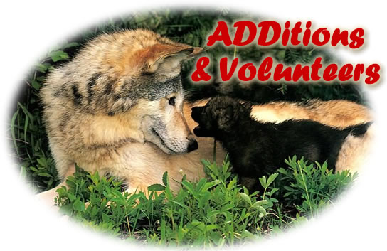 Image of wolf and its pup with additions and volunteers text Image of wolf and its pup with additions and volunteers text