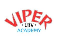 Viper Academy Logo Viper Academy Logo