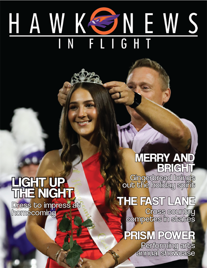 Hawk News-In Flight Newsletter Volume 4 Issue 2