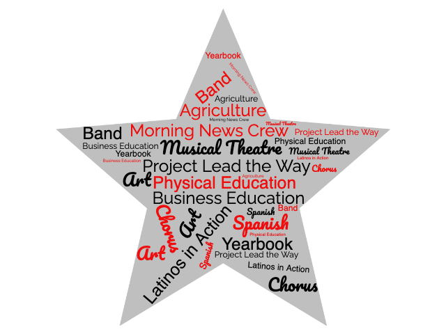 Word Cloud image of elective names in the shape of a star Word Cloud image of elective names in the shape of a star