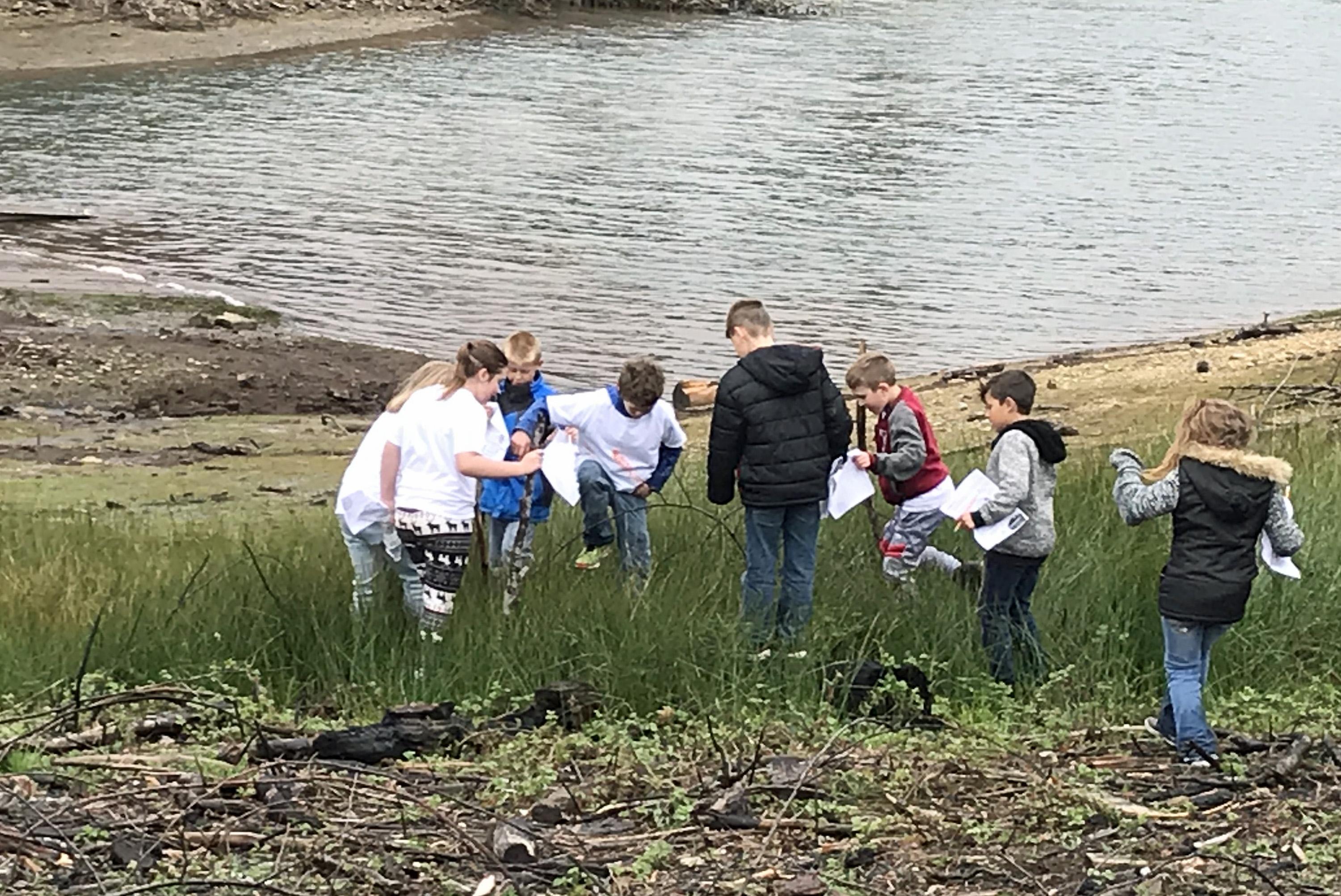 3rd Grade finding insects