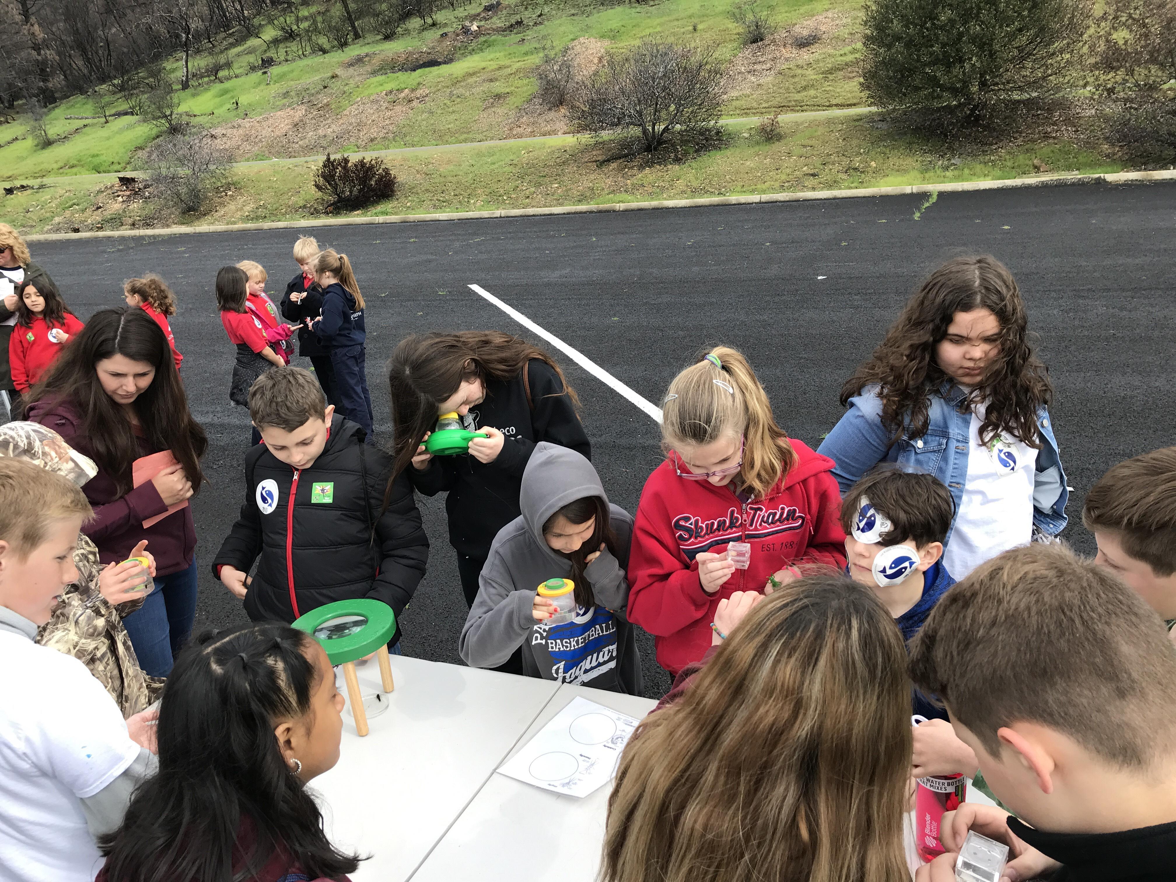 Trout Release