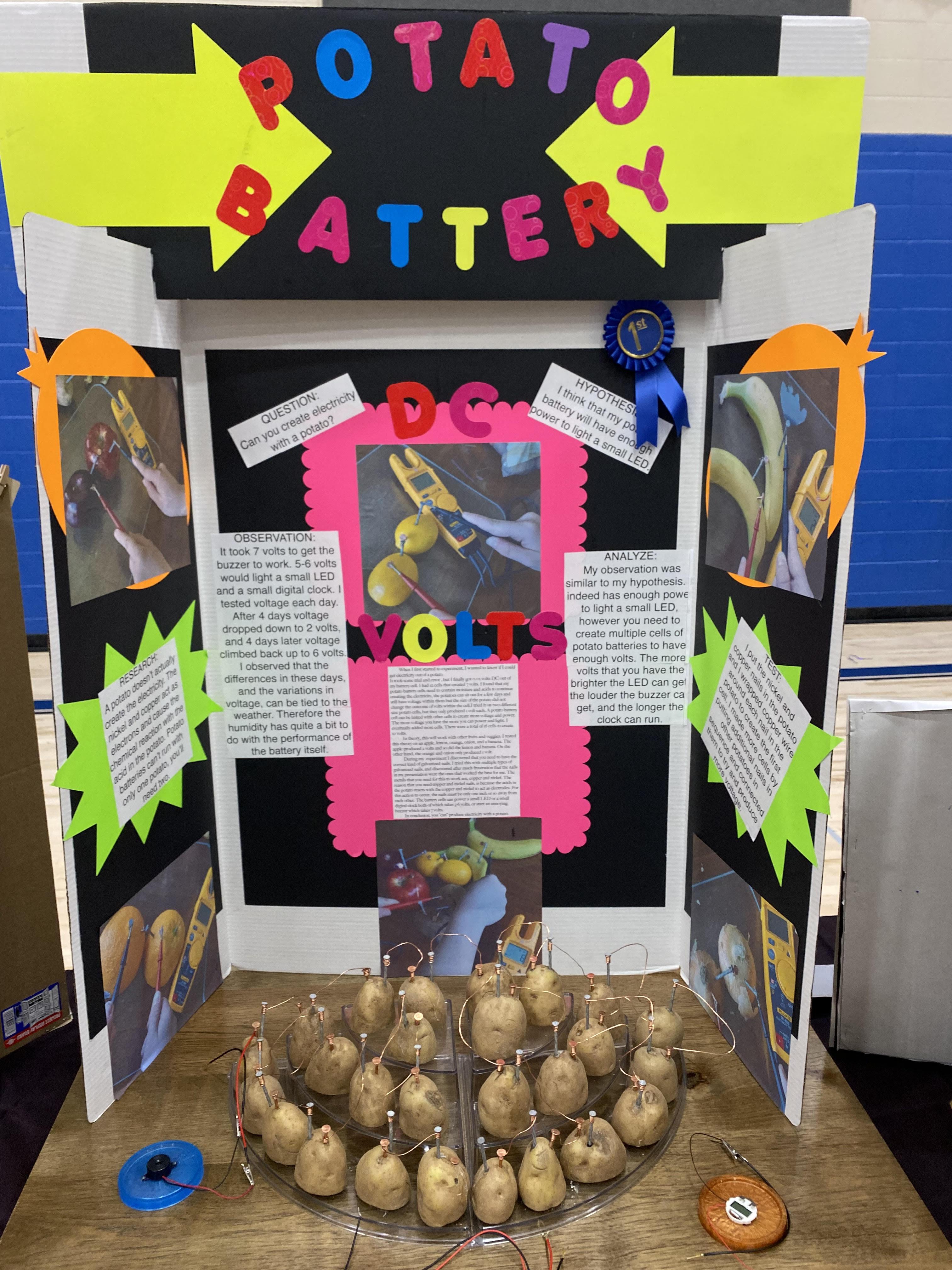 1st Place Science Fair Winner